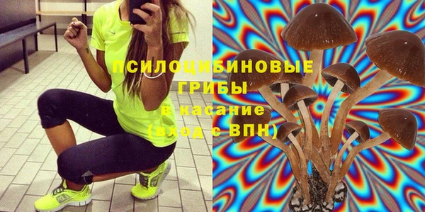 ешки Белоозёрский