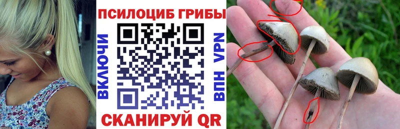 Псилоцибиновые грибы Magic Shrooms Урус-Мартан
